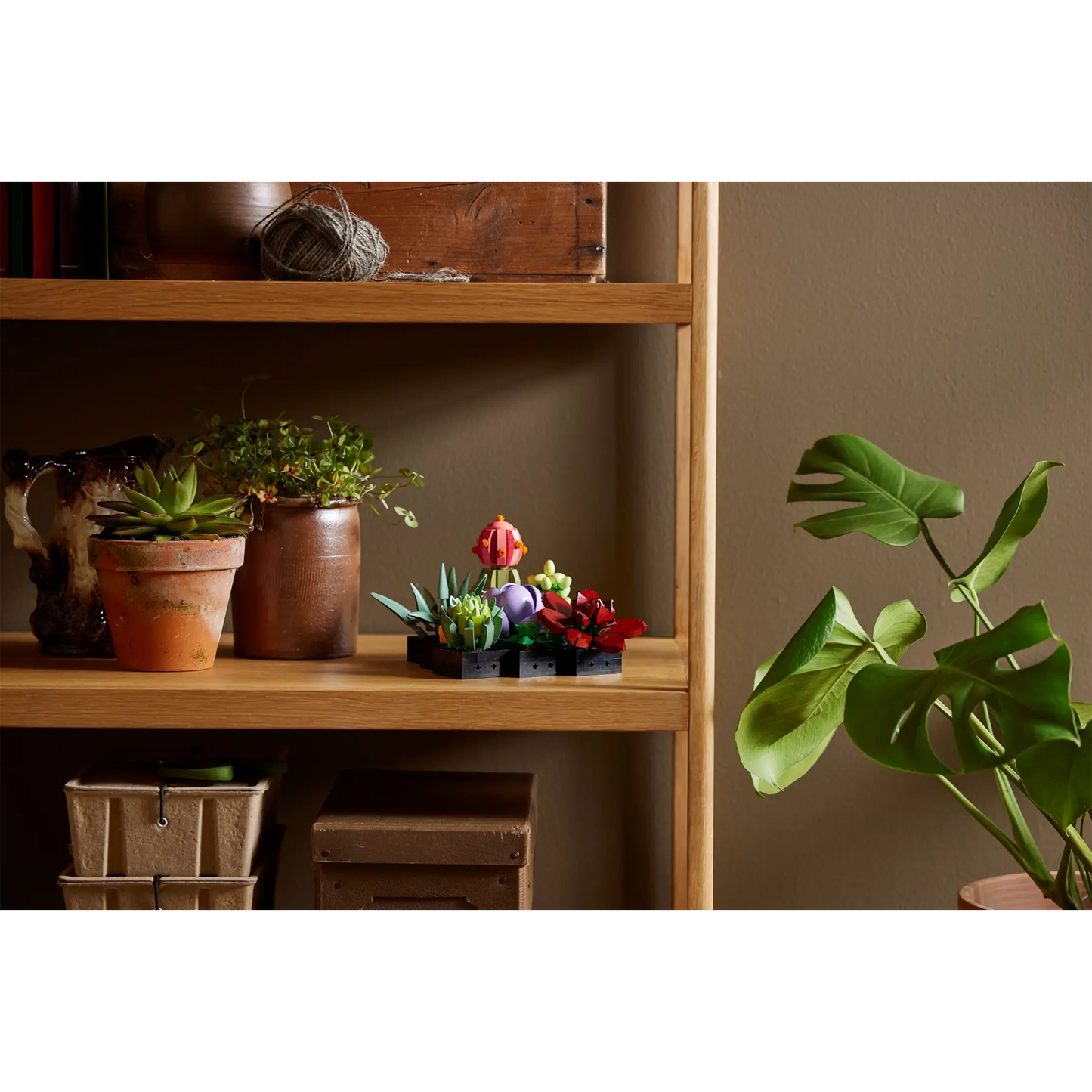 LEGO Succulents - 10309