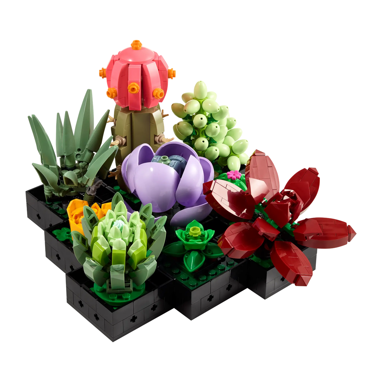 LEGO Succulents - 10309