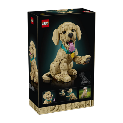 LEGO Golden Retriever Puppy - 11384