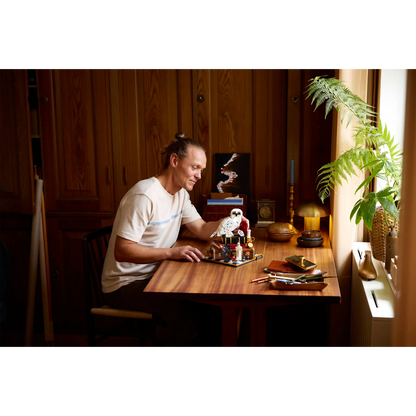 LEGO Sorcerer's Stone – Collectors' Edition - 76466